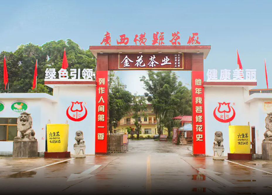 (guǎng)西金花茶(yè)有限公司